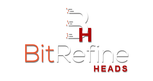 BitRefine Heads